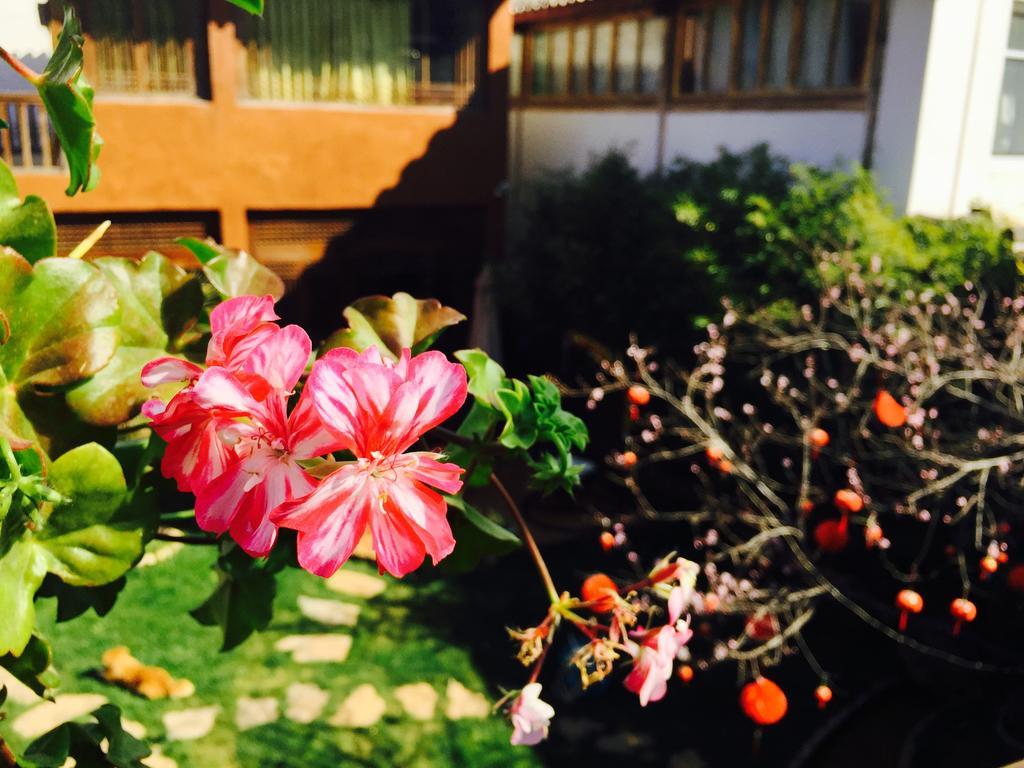 Lijiang Shuhe Qingtao Inn Exterior photo