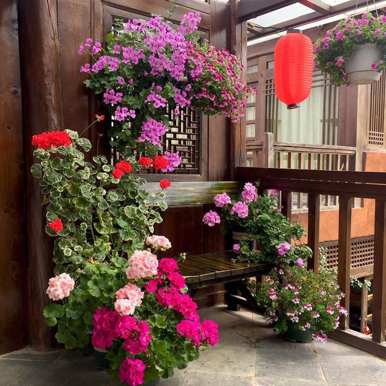 Lijiang Shuhe Qingtao Inn Exterior photo